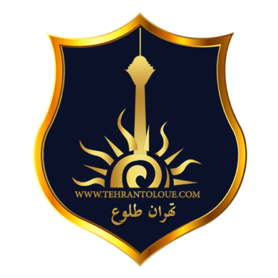 طراحی لوگو مستر حساب ایران
